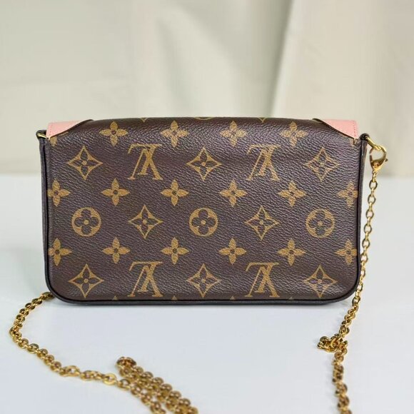 Louis Vuitton Monogram Canvas Limited Edition Felicie Shoulder Bag Crossbody - Picture 4 of 9